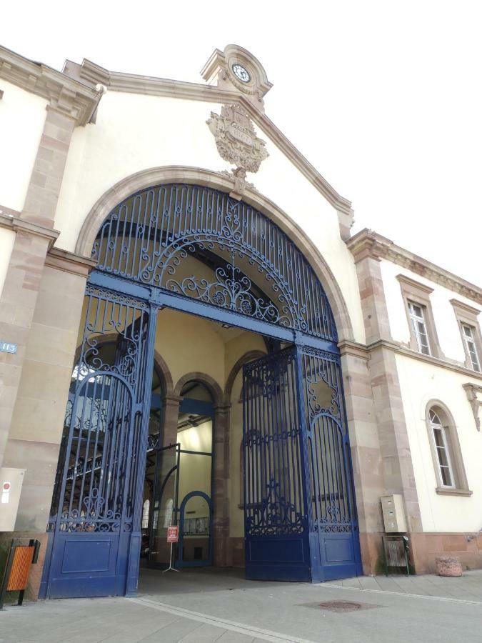 Appart'Azur Haguenau - Centre Grand'Rue - Logements Entiers Pour Voyageur Pro Buitenkant foto