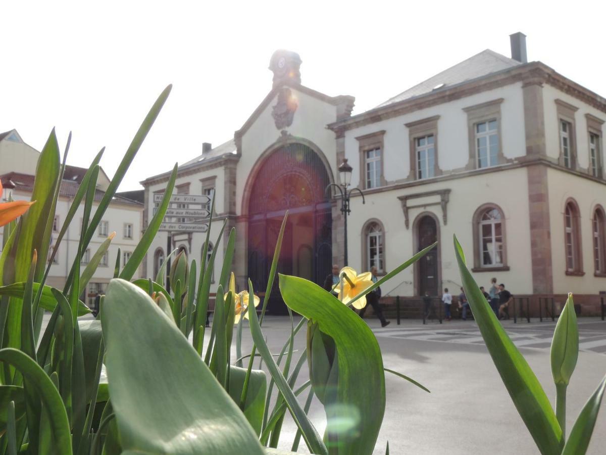 Appart'Azur Haguenau - Centre Grand'Rue - Logements Entiers Pour Voyageur Pro Buitenkant foto