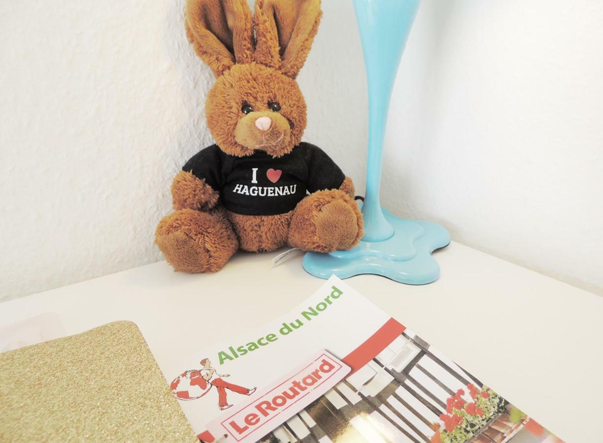 Appart'Azur Haguenau - Centre Grand'Rue - Logements Entiers Pour Voyageur Pro Buitenkant foto